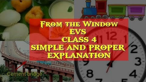 From the Window | Class 4 | Looking Around | CBSE | NCERT |