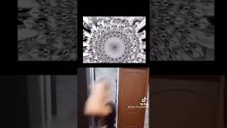 Eu Brincando De Luta Com Meu Primo Eu Desviando Dele