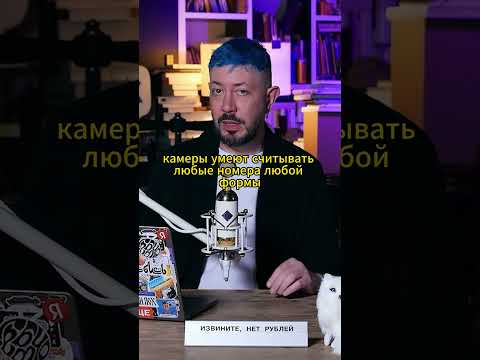 В России разрешили вешать квадратные номера спереди автомобиля