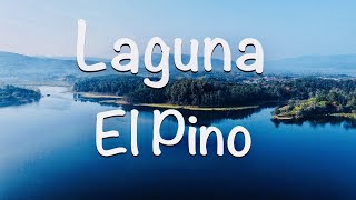 Laguna El Pino / Barberena / El Cerinal / Santa Rosa / Guatemala / Bosque de Pino Encino