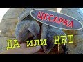 Цесарка в нашем хозяйстве - быть или не быть // Забой // Приготовление // Мое хозяйство