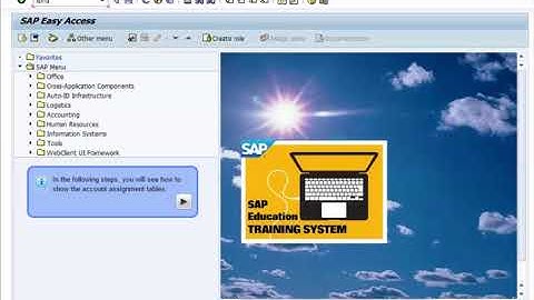SAP Project System Controlling   Materials part №2