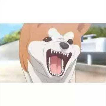 A yuru yuri vine