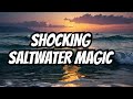 The Hidden Magic of Electrocution in Saltwater 🌊🔌