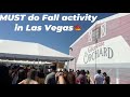 BEST FALL activity to do in Las Vegas//Gilcrease Orchard, Apple picking, Sunflower Field 🍁