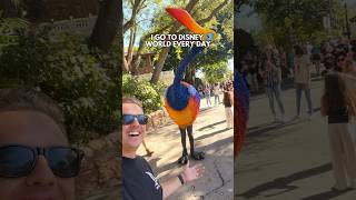 First 5 Rides To Ride In Disneys Animal Kingdom