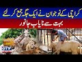 Rare Animals In Karachi | Wild Pets with Aun | GTV Network HD | 13 June 2021