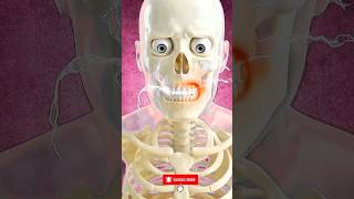 What Happens If You STOP Brushing Your Teeth? | Shocking Truth!😳 #DentalHealth #Hygiene #ViralShorts