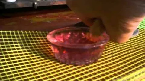 № 8 Вылупившихся птенцов учим пить воду  Hatched Chicks learn to drink water