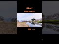 #川の流れのように#美空ひばり#日本の歌百選#八代亜紀#都はるみ#天童よしみ#島津亜矢r#さだまさし#桑田佳祐#五木ひろし#秋川雅史#川中美幸#水谷豊#cover