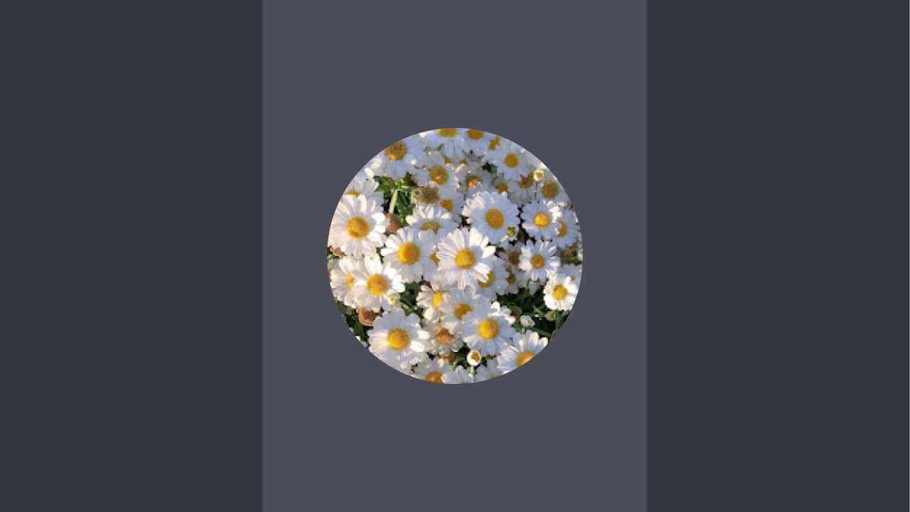 Deepa’s Tarot is live!