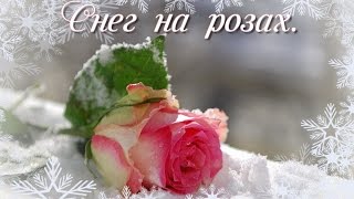 Снег на розах (минусовка)