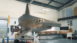 Shark Model Making