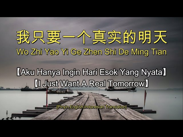 wo zhi yao yi ge zhen shi de ming tian【我只要一个真实的明天】【I Just Want A Real Tomorrow】Wang jie - 王杰 class=