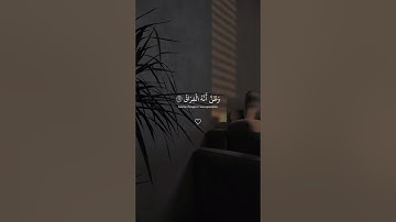 القارئ : أحمد النفيس