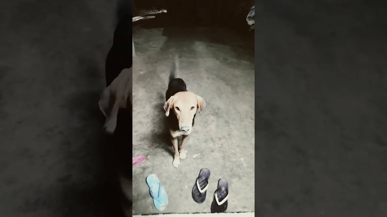 1 million flowers😂 