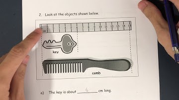Comparing Length (Primary 2)
