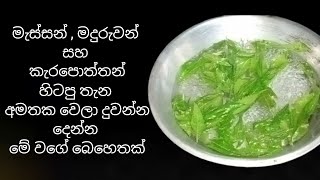 මැස්සන් පැත්ත පළාතේ එන්නැතිවෙන්න මේ ක්‍රමය පාවිච්චි කරන්න | Jawa Food Corner