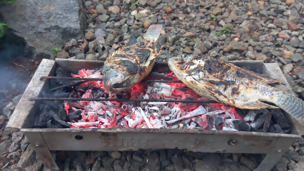 Cara Cepat Menyalakan Arang Kayu Untuk Bakar Sate, Ayam, Ikan dll