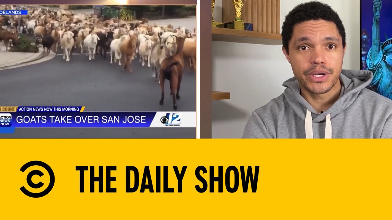Goats Gone Wild | The Daily Social Distancing Show | 19 May 2020