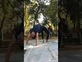 Chakrasanpushup #yoga #yogasthal #yogaforbeginners #yogasan #yogapractice #yogalife #yogainspiration
