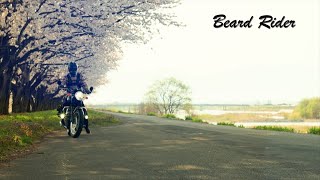 [034] Bonneville T120 Sakura (Hanami) Touring | Pure Exhaust Sound [2024 Spring]