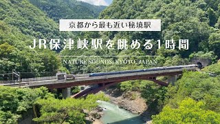 【自然音】京都から最も近い秘境駅「JR保津峡駅」を眺める1時間｜川の音・電車の音