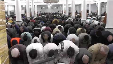 صوت جميل وتلاوة رائعة|| وليد مهساس #الحنجرةالذهبية