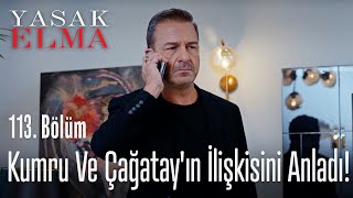 Doğan, Kumru ve Çağatay'ın ilişkisini anladı! - Yasak Elma 113. Bölüm