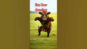 Sapi Gemuk Joget.#music #sapigendut #cow #sapigemuk #animals #sapilucu #funny #shorts #trending