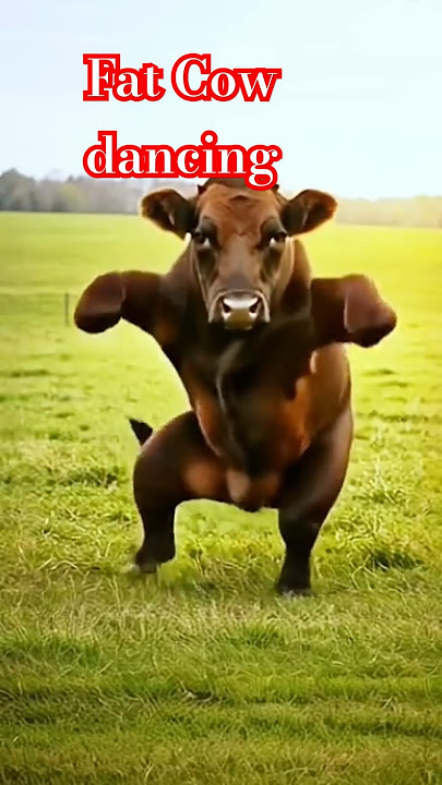 Sapi Gemuk Joget.#music #sapigendut #cow #sapigemuk #animals #sapilucu #funny #shorts #trending