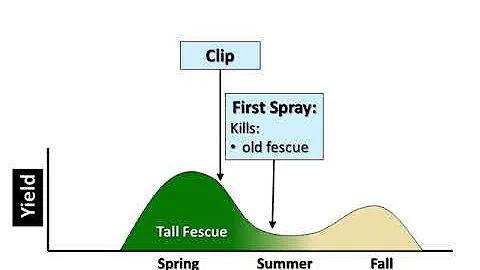 Establishment and first year management of tall fescue renovation