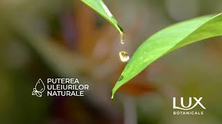 NOUA GAMA LUX BOTANICALS cu Uleiuri Naturale