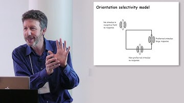 David Heeger - Normalization as a Canonical Neural Computation (October 13, 2010)