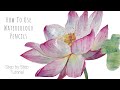 How To Use Watercolour Pencils - Flower Painting Tutorial