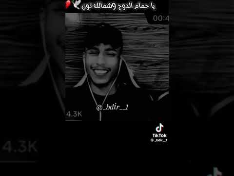 يا حمام الدوح وشمالك تون فصيص فيصل والهرم فيصل