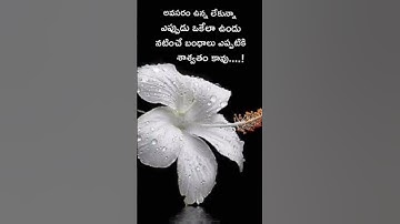 అవసరం ఉన్నా లేకున్నా #motivation #quotes #telugu #shots #video