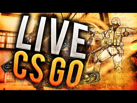 csgo stream ბიჭებთან ერთად