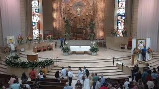 The Eucharist: Our Bread for the Journey to Eternal Life