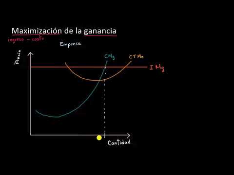 Video: ¿Qué es la maximización de ganancias y riqueza?