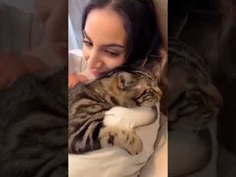 Love sharing . 🥰👀😍💗🐱😁💥 #cat #love #funny #wow #wildnaturetv250 #nature #котики #любовь