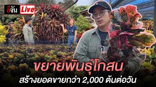 Live ขยายพันธุ์โกสนกว่า 100 สายพันธุ์ สร้างยอดขายกว่า 2,000 ต้นต่อวัน | อีจัน EJAN