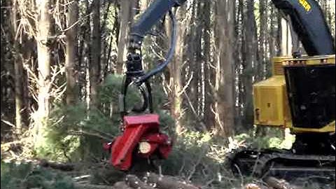 Tigercat LH830C with Waratah 623C