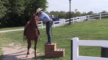 How to teach a horse to stand still at the Mounting Block