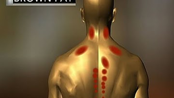 CBS This Morning - Brown fat: Fat that makes you thin