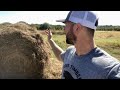 The bison react to their first hay bale of the season!