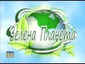 Зелена планета. Жіноче безпліддя: причини, симптоми, лікування  22.07.2016