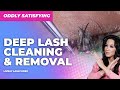 Oddly Satisfying Deep Lash Cleaning - Full Lash Removal