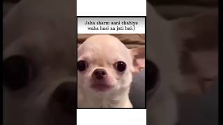 POV: You Can’t Control Your Laugh at the Wrong Time 🤣”#shorts