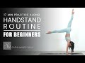 Handstand Routine for Beginners (17 min follow along)